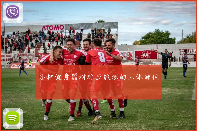 各种健身器材对应锻炼的人体部位