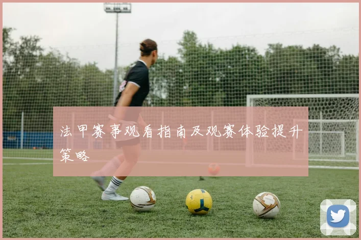 法甲赛事观看指南及观赛体验提升策略