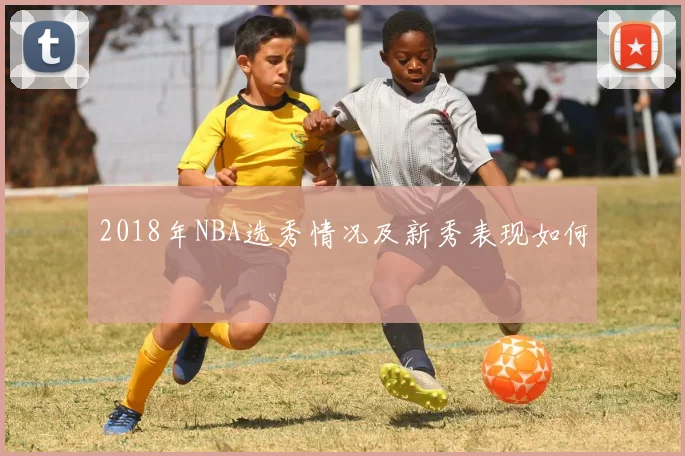 2018年NBA选秀情况及新秀表现如何