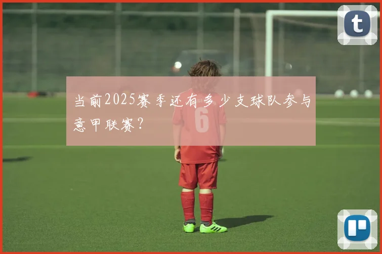当前2025赛季还有多少支球队参与意甲联赛？