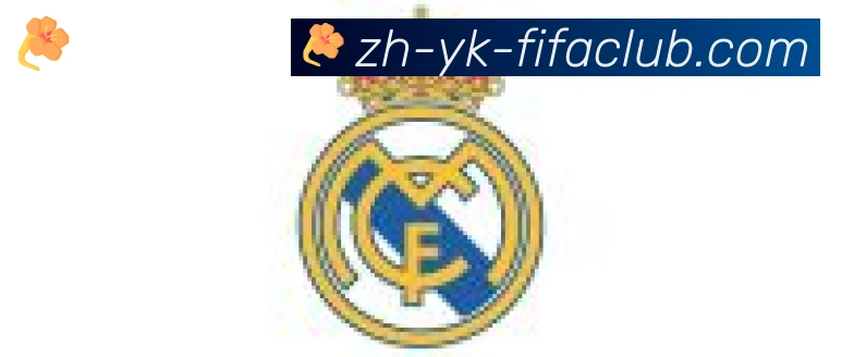 世界杯买球合作伙伴